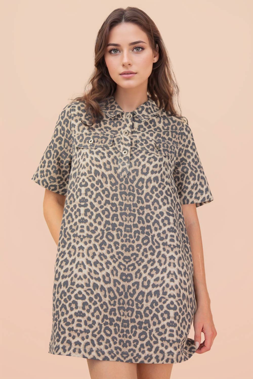 Leopard Printed Collared Dress