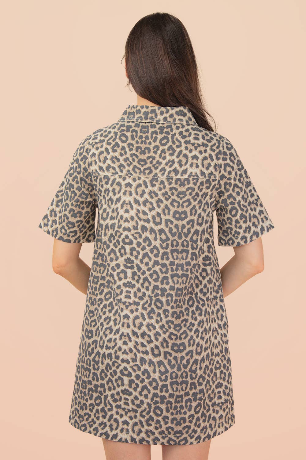 Leopard Printed Collared Dress